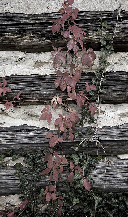 Appleberry Mountain 2 by Pete Hellmann Appleberry Mountain 2 by Pete Hellmann