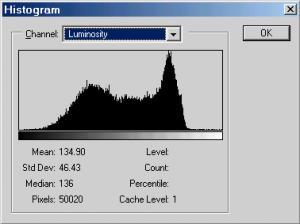 Using The Histogram For Exposure