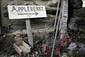 Appleberry Mountain By Pete Hellmann